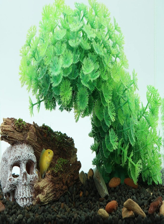 AQUA KT Aquarium Landscape Skeleton Head Skull with Tree Branch for Betta Cichlid Fish Hiding Rock Aquatic Decoration - Image 3